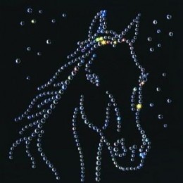 Картина Сваровски "Лошадь", 20 х 20 см