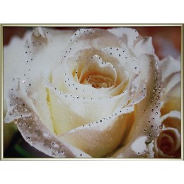 Картина Сваровски "Чайная роза", 40 х 30 см