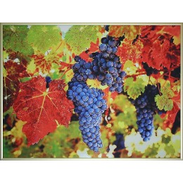 Картина Сваровски "Гроздь винограда", 40 х 30 см