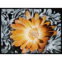 Картина Сваровски "Контраст цвета-Хризантема", 40 х 30 см