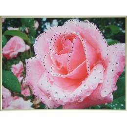 Картина Сваровски "Утренняя роза", 30 х 40 см