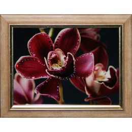Картина Swarovski "Цветок орхидеи", 23,5х19см