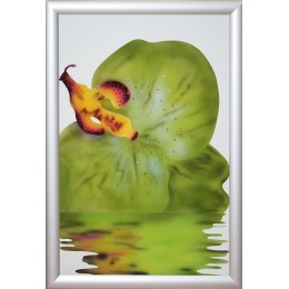 Картина Сваровски "Орхидея 5", 40 х 60 см