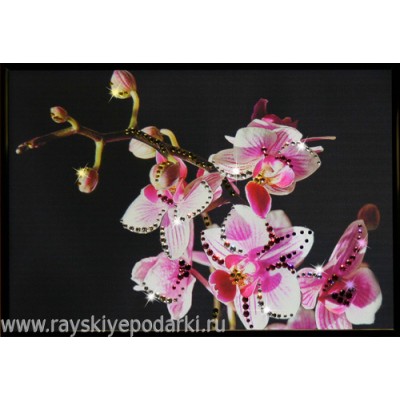 Картина из кристаллов Swarovski "Маленькая орхидея"