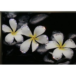 Картина с кристаллами сваровски "Белые цветы"