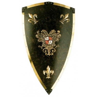 Щит рыцарский Карла V Великого
